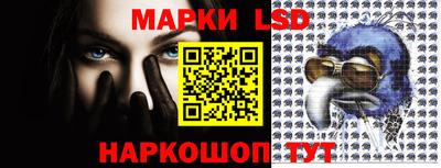 эйфоретик Донской