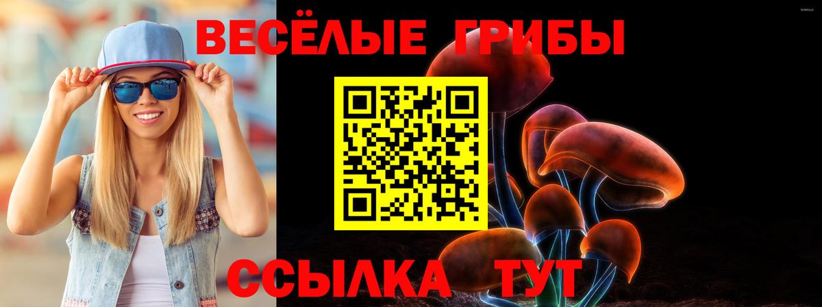 Псилоцибиновые грибы ЛСД Заволжье