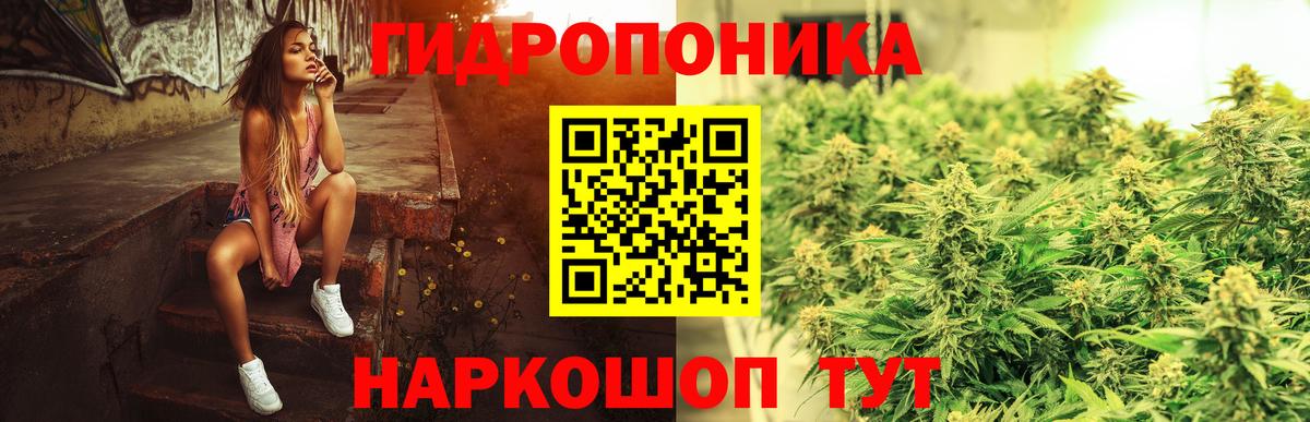 Бошки марихуана индика  Канабис ГИДРОПОН  Шишки марихуана OG Kush  Заволжье  Вход с VPN 